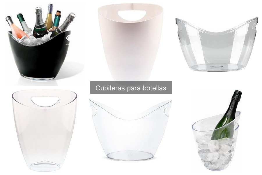 Cómo usar correctamente una cubitera para botellas