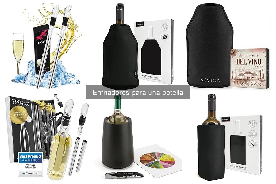 Errores comunes al usar un enfriador de botellas de vino