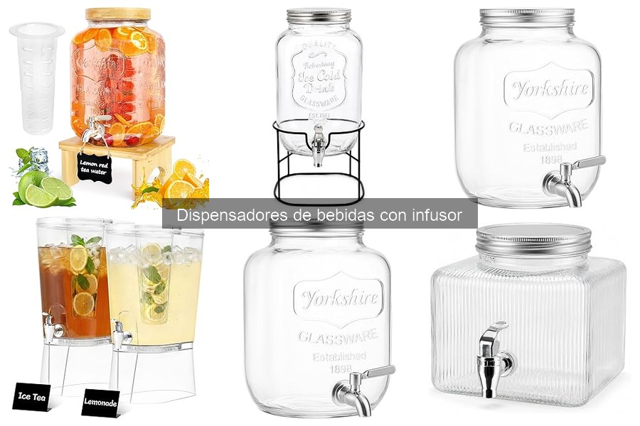 Guía para elegir el mejor dispensador de bebidas con infusor