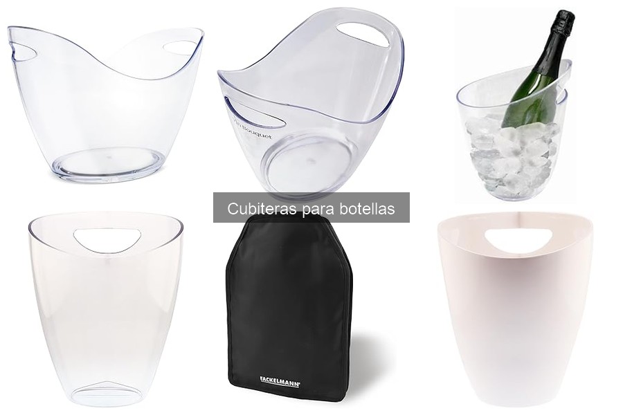 Opiniones sobre las Mejores Cubiteras para Botellas